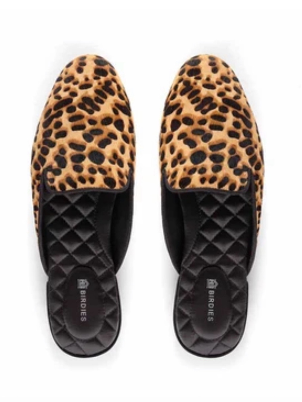 Birdies - The Phoebe - Cheeta